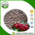 Water Soluble Compound NPK Fertilizer 19-19-19